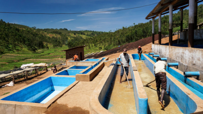 cedarbeans-images with sizes