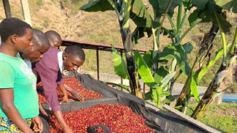 cedarbeans-images with sizes2